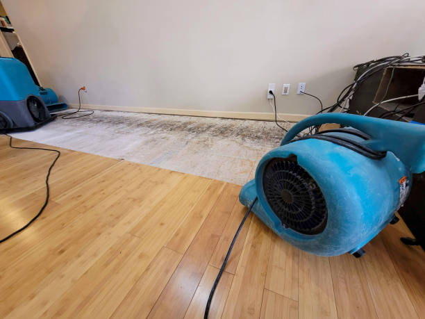 Professional Flood Damage Cleanup technician working in North Star, OH